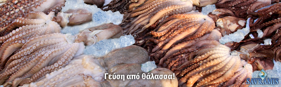 Banner 2
